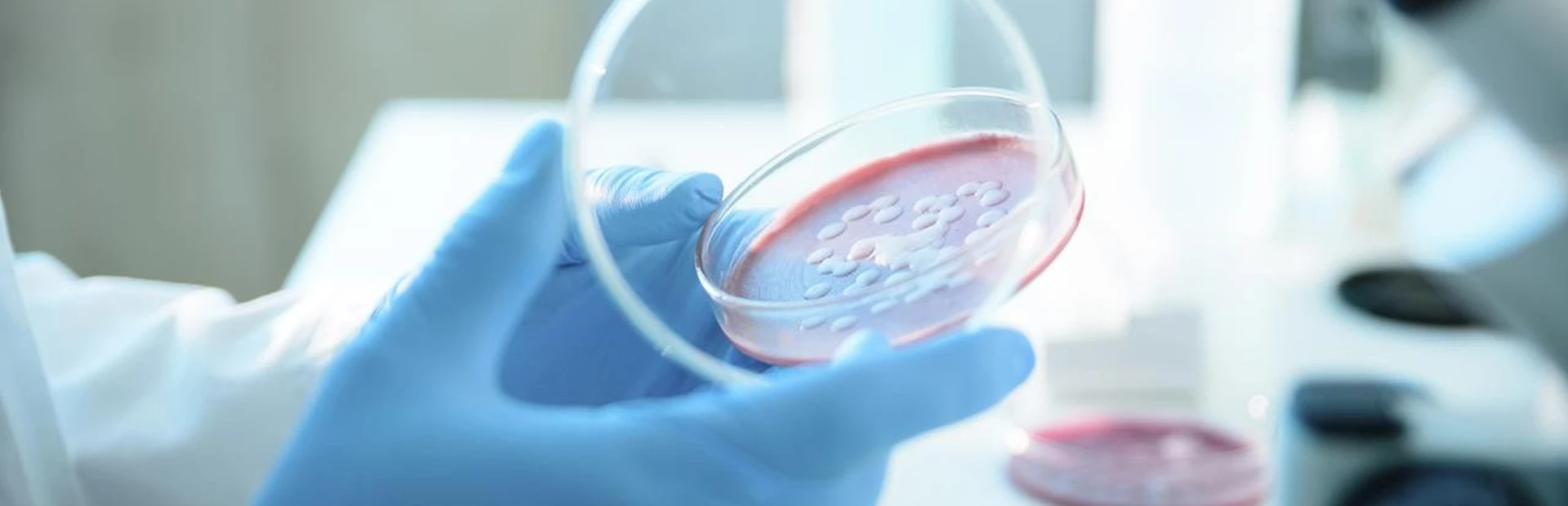 Physician-Scientist Donald Ganem takes the reins in Infectious Disease Physician-Scientist Donald Ganem takes the reins in Infectious Disease