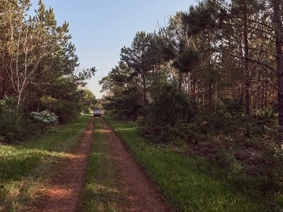 Santo Domingo Estate carbon-sink forestry project, Argentina. Santo Domingo Estate carbon-sink forestry project, Argentina.