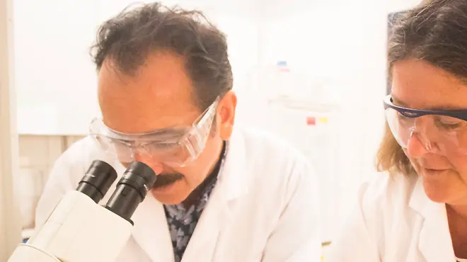 Stifling danger signals in rheumatoid arthritis