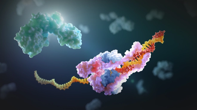 stopping this coronavirus and the next one_0